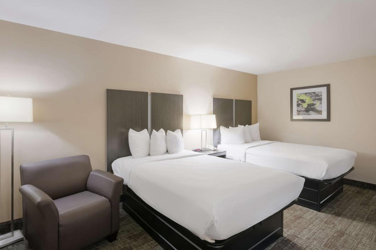 Double Room with Two Double Beds