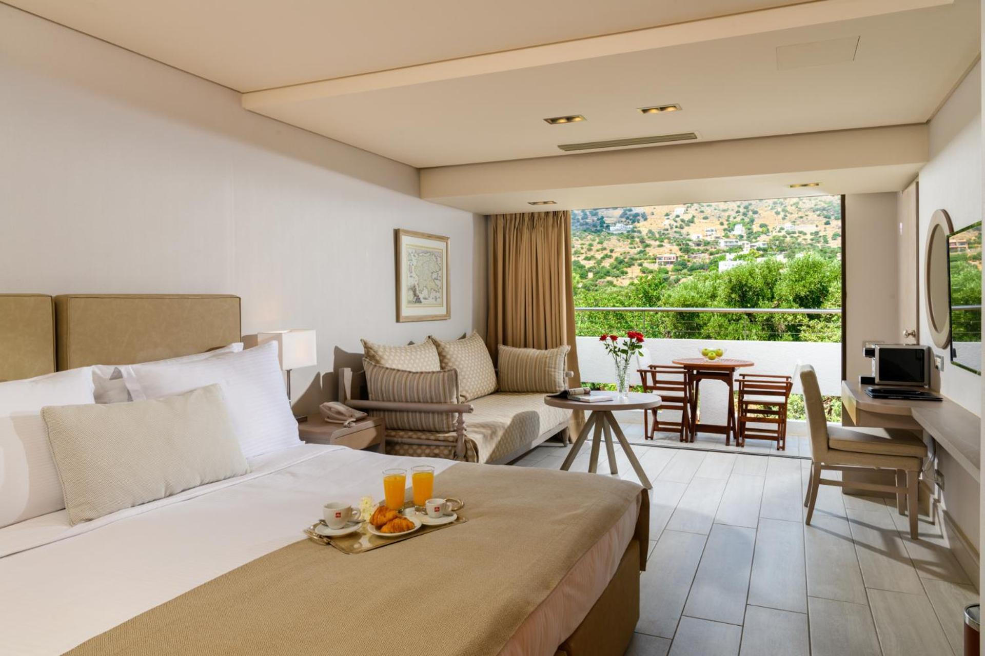 Classic Room with Mountain View