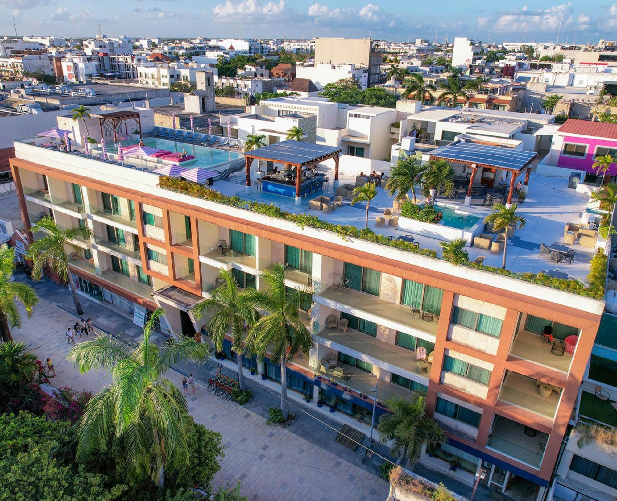 Palm Loft