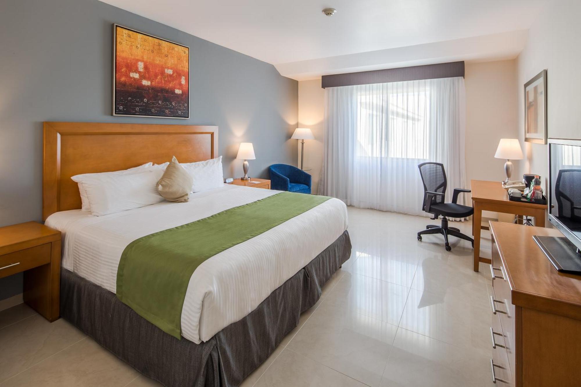 Superior King Studio Suite Non-Smoking