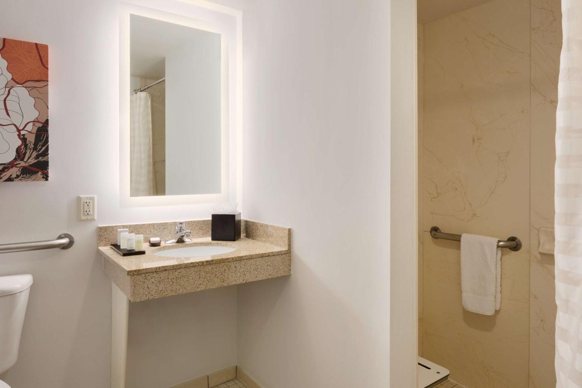 Suíte de 1 Quarto com Cama King-size - Acessível para Hóspedes com Capacidade Auditiva Reduzida/Não Fumantes