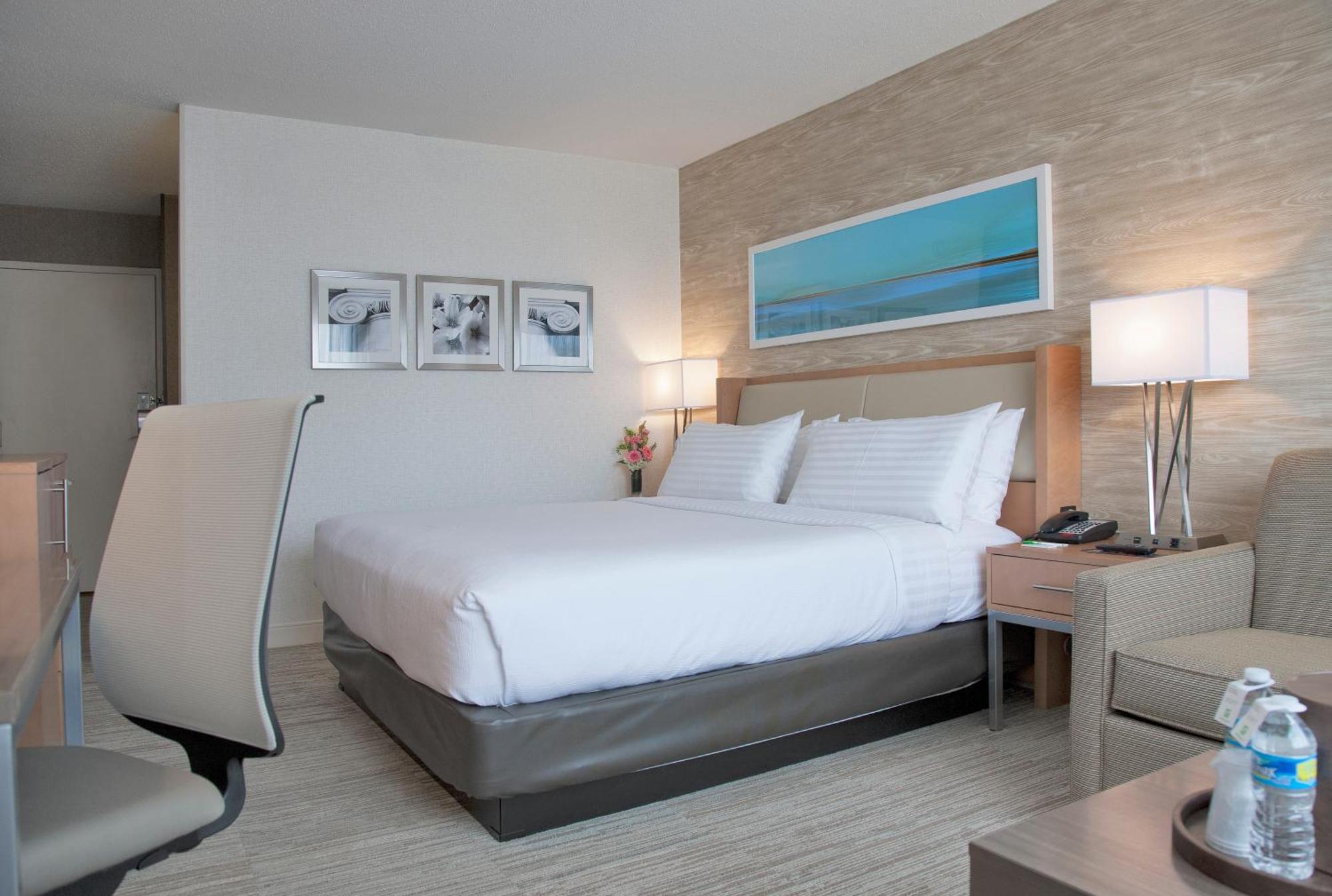 Standard King Room Sofa Bed