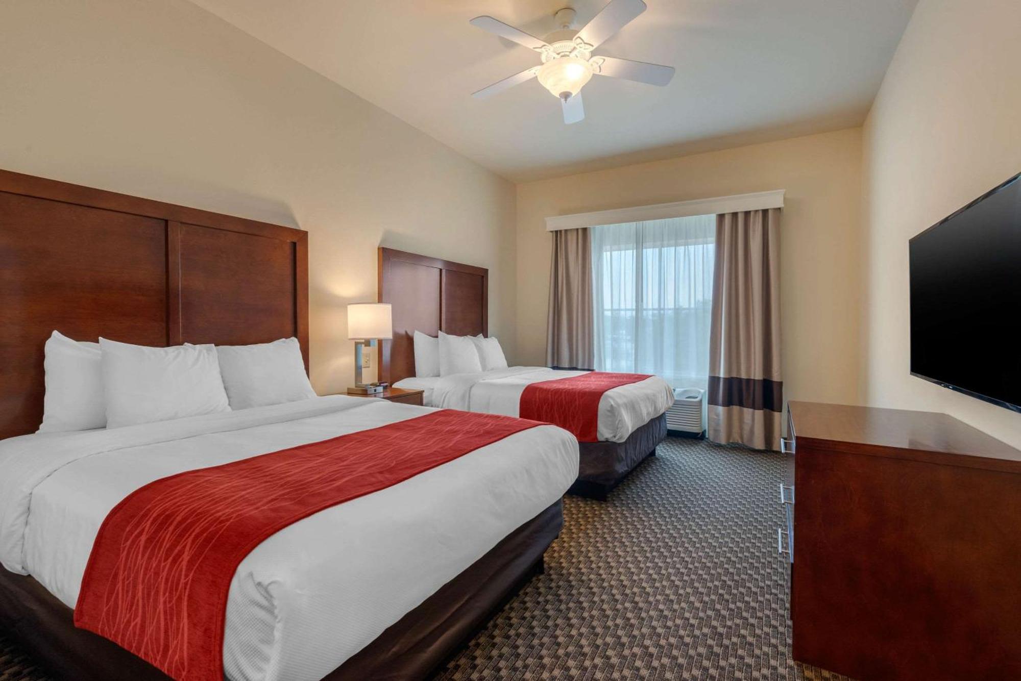Queen Suite