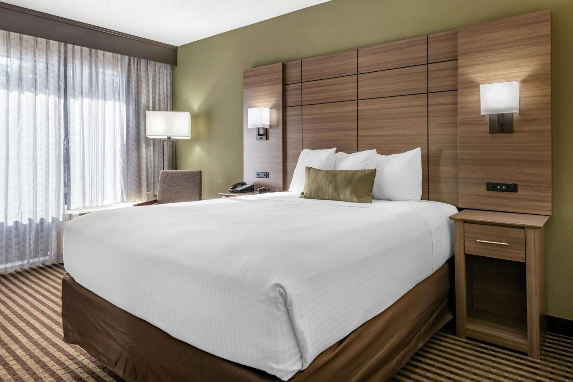 King Room,1276380952:JPEG