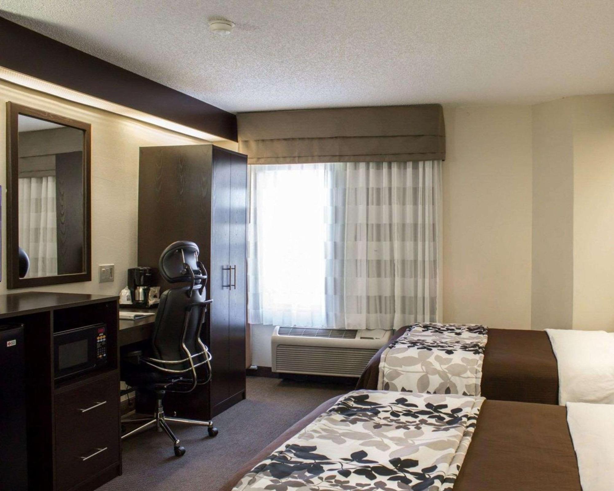 Quadruple Room - Non-Smoking