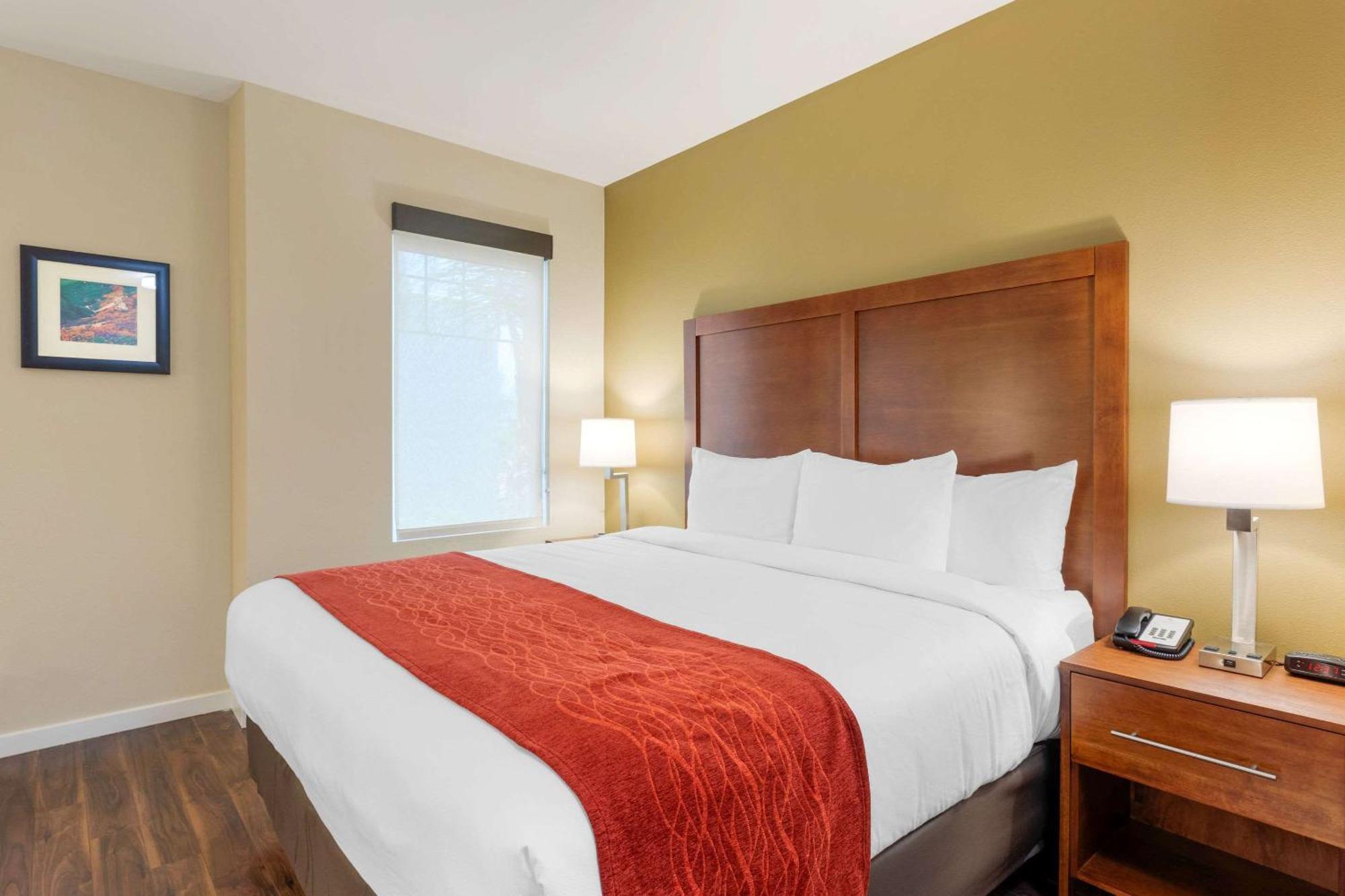 Standard Room, 1 King Bed, Non Smoking