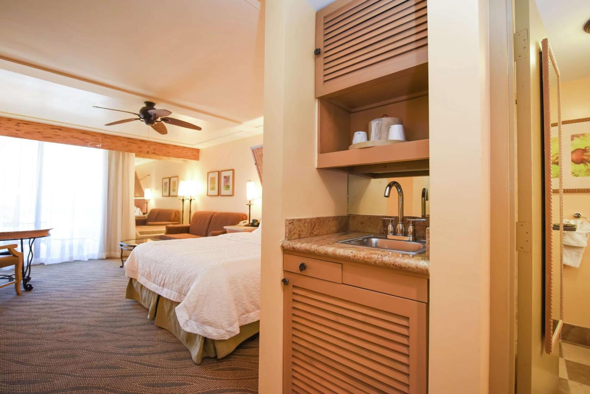 Chambre Lit King-Size avec Vue sur le Jardin - Non-Fumeurs