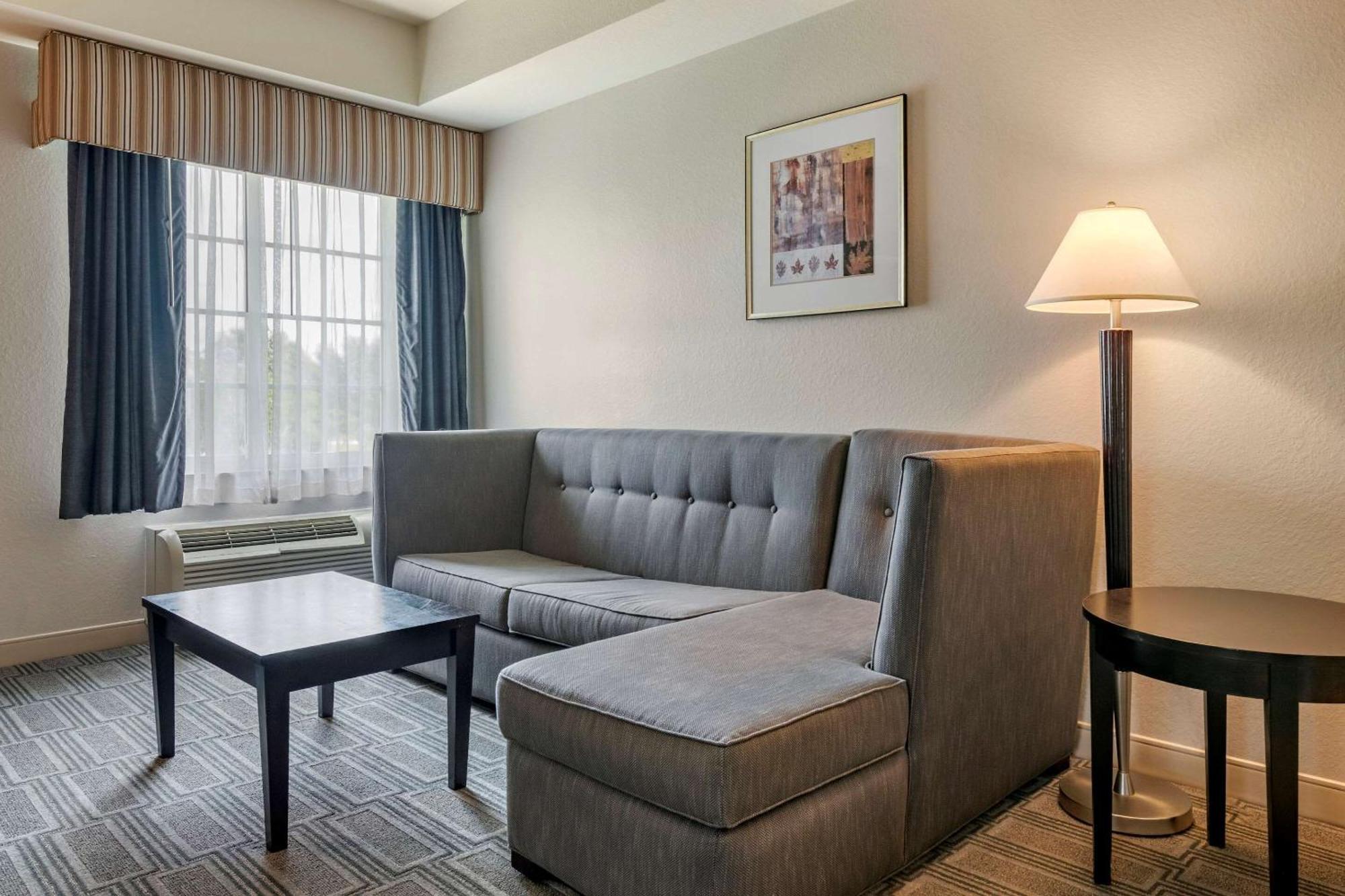 King Suite with Sofa Bed - Non-Smoking