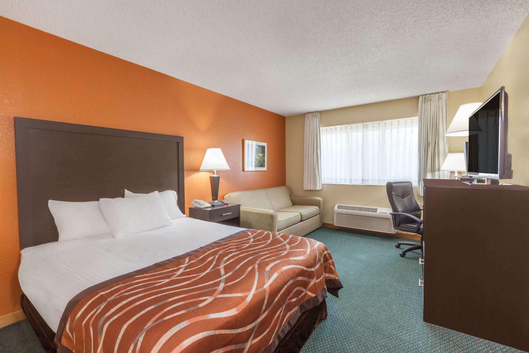 King Suite with Sofa Bed - Non-Smoking