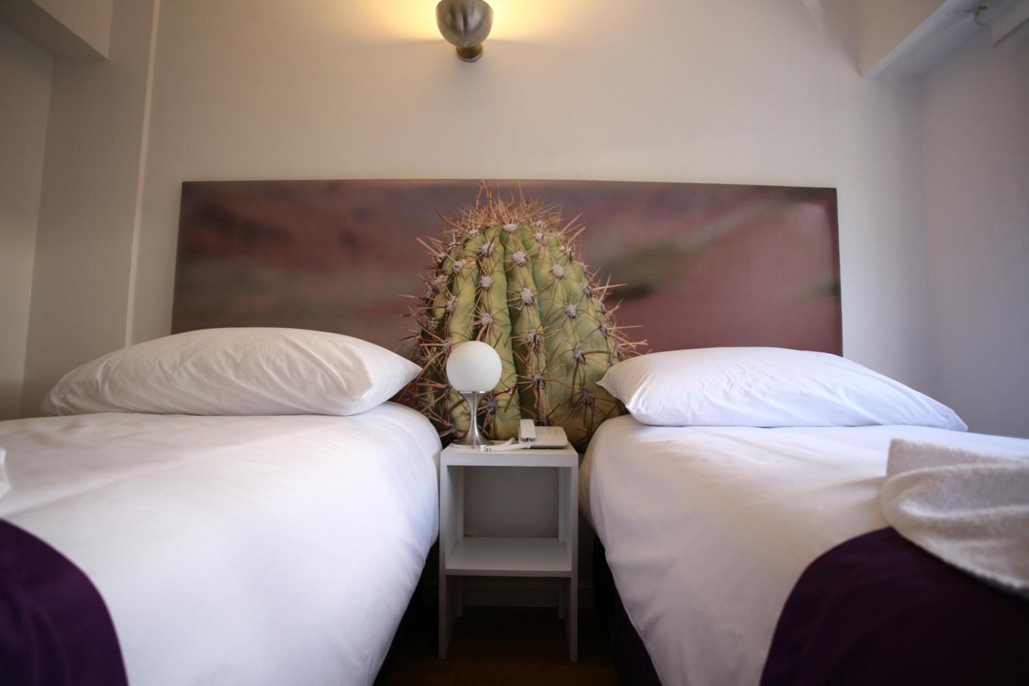Double or Twin Room