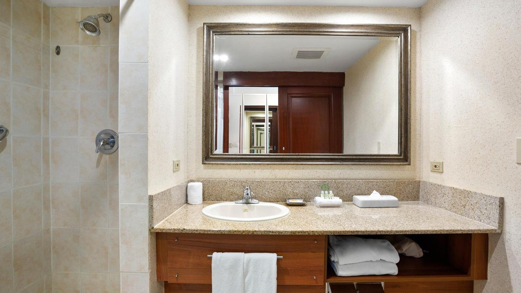 Premium Room with Pool View