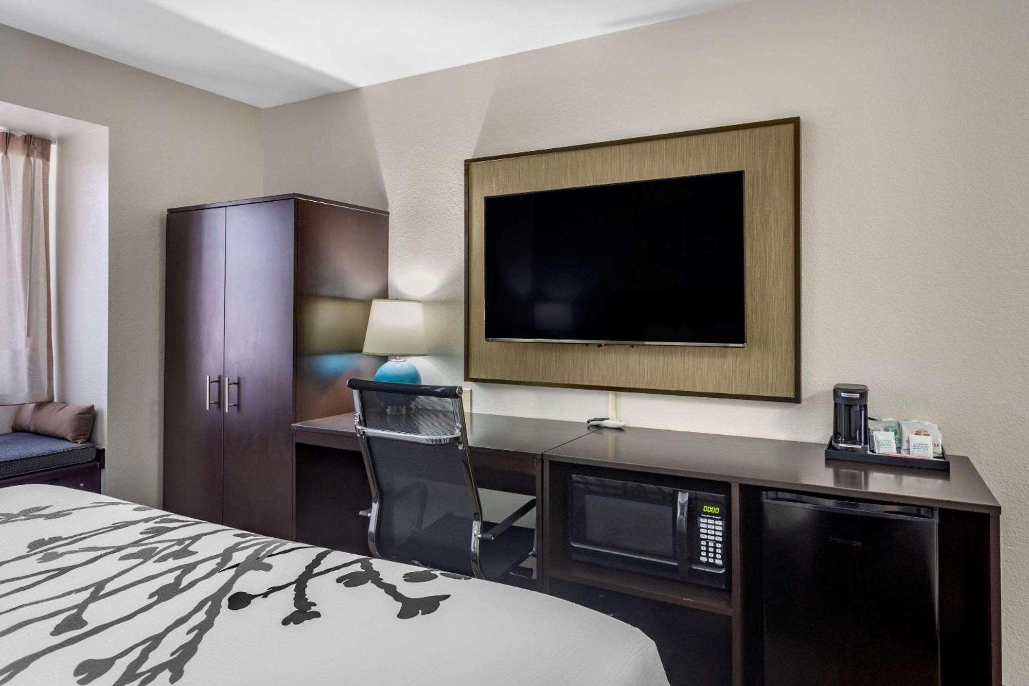 King Room Accessible or Non-Smoking
