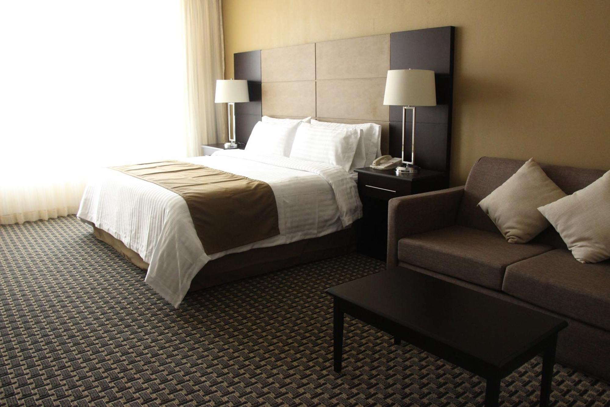 Habitación Estándar - Cama extragrande