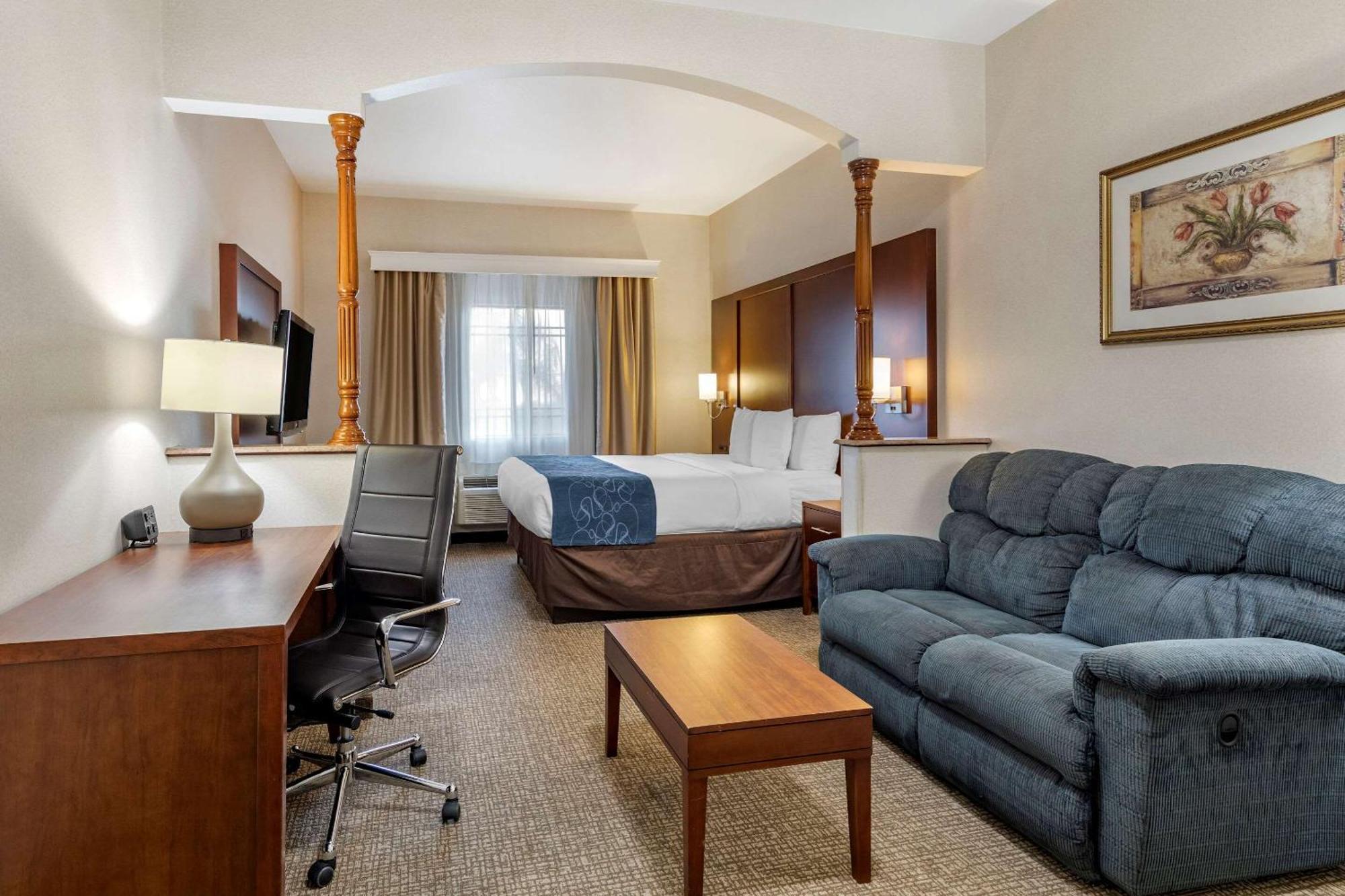 Suite, 1 King Bed with Sofabed