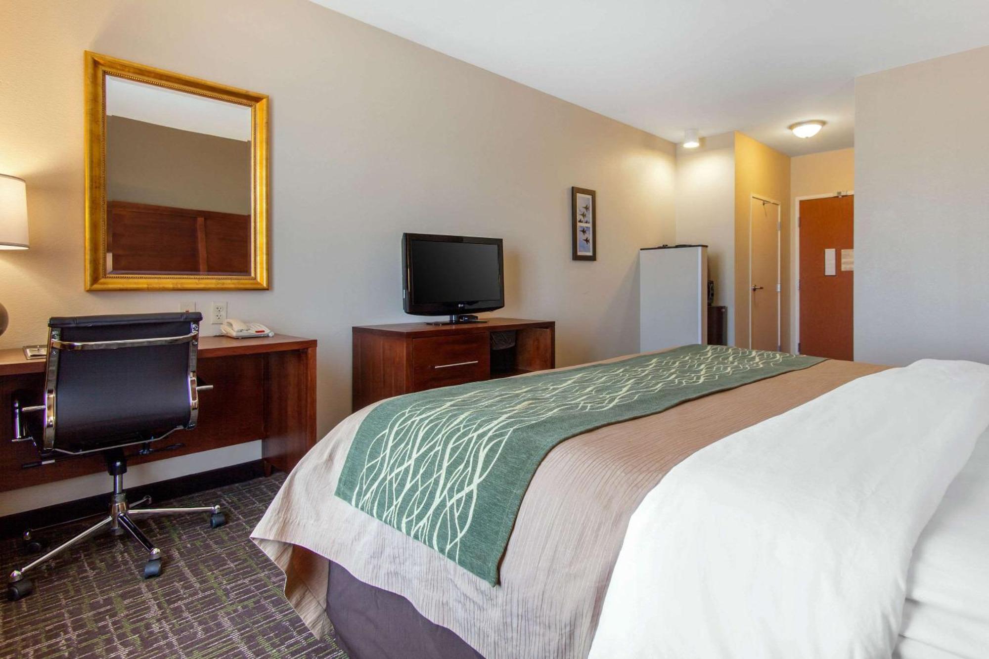 King Suite with Sofa Bed - Non-Smoking