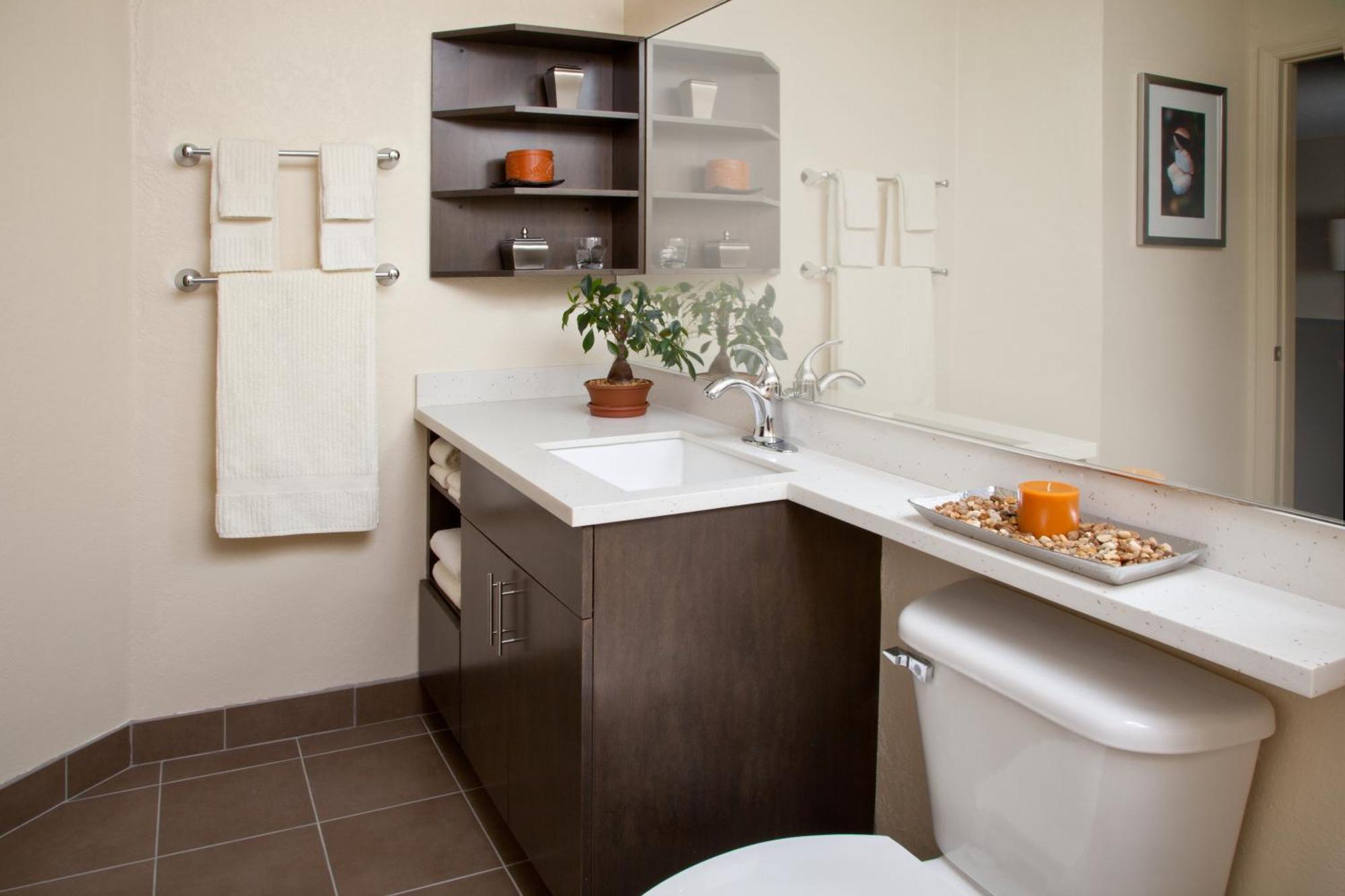 Estudio Suite