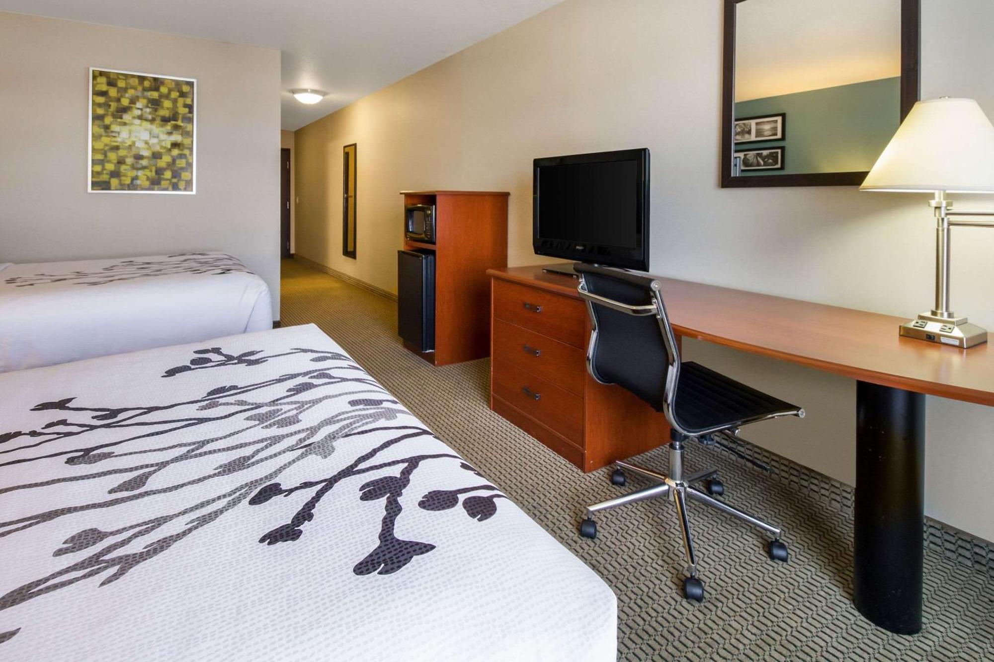 Chambre Deluxe avec 2 Lits Queen-Size - Non-Fumeurs