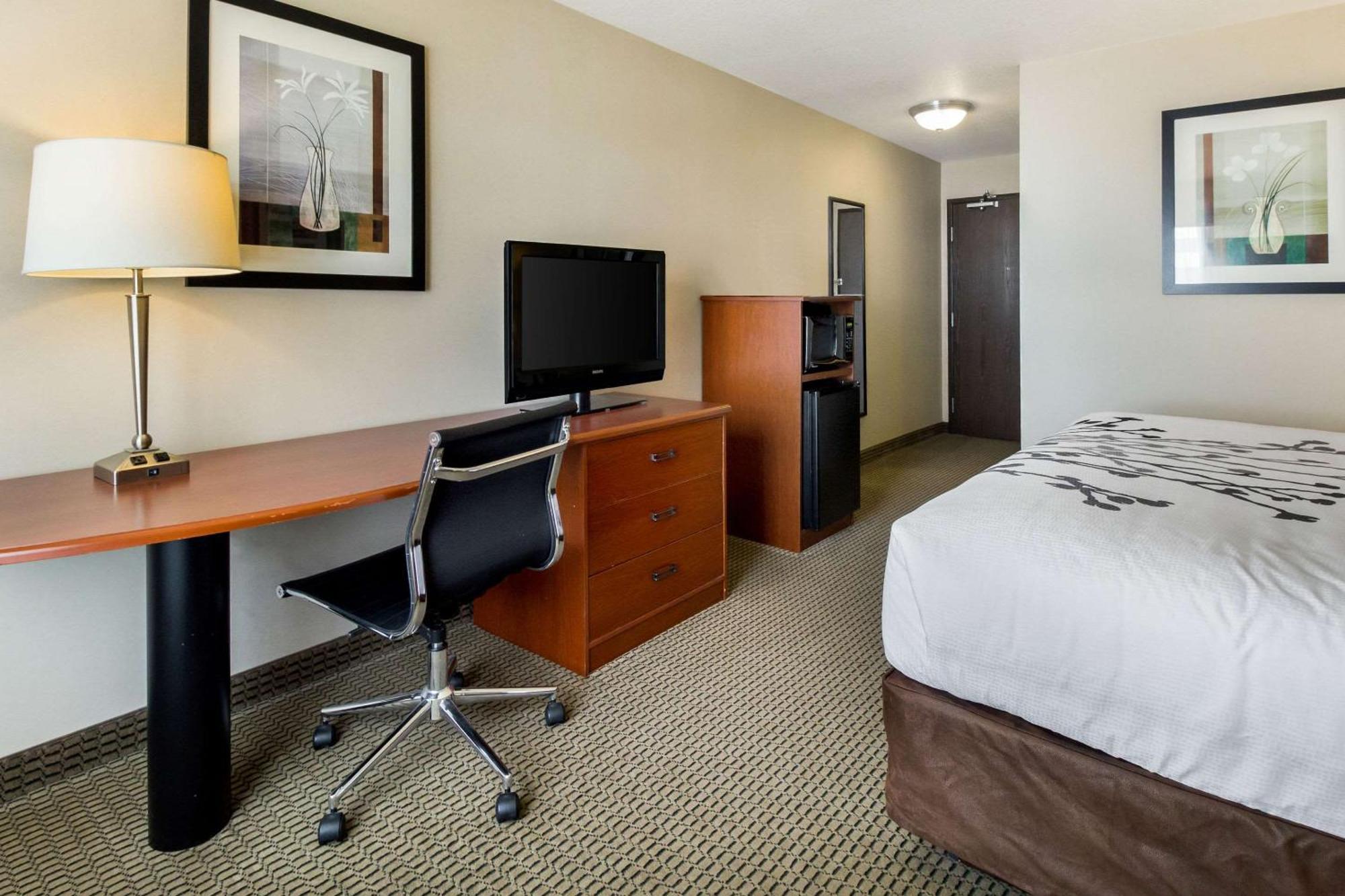 Chambre Lit King-Size Standard - Non-Fumeurs