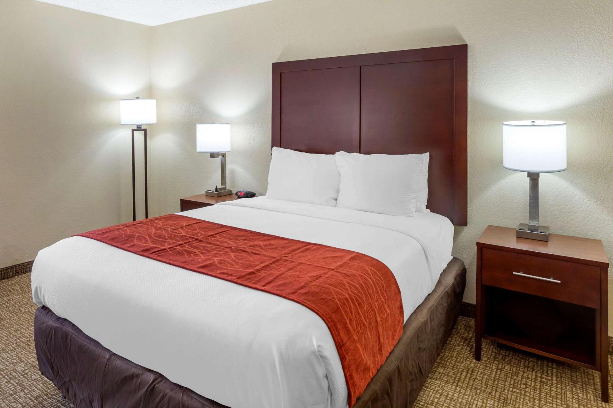 Queen Room with Roll-In Shower - Accessible/Non-Smoking