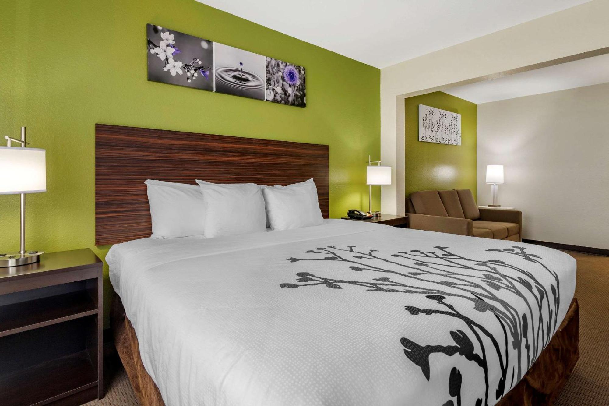 King Suite with Sofa Bed - Non-Smoking