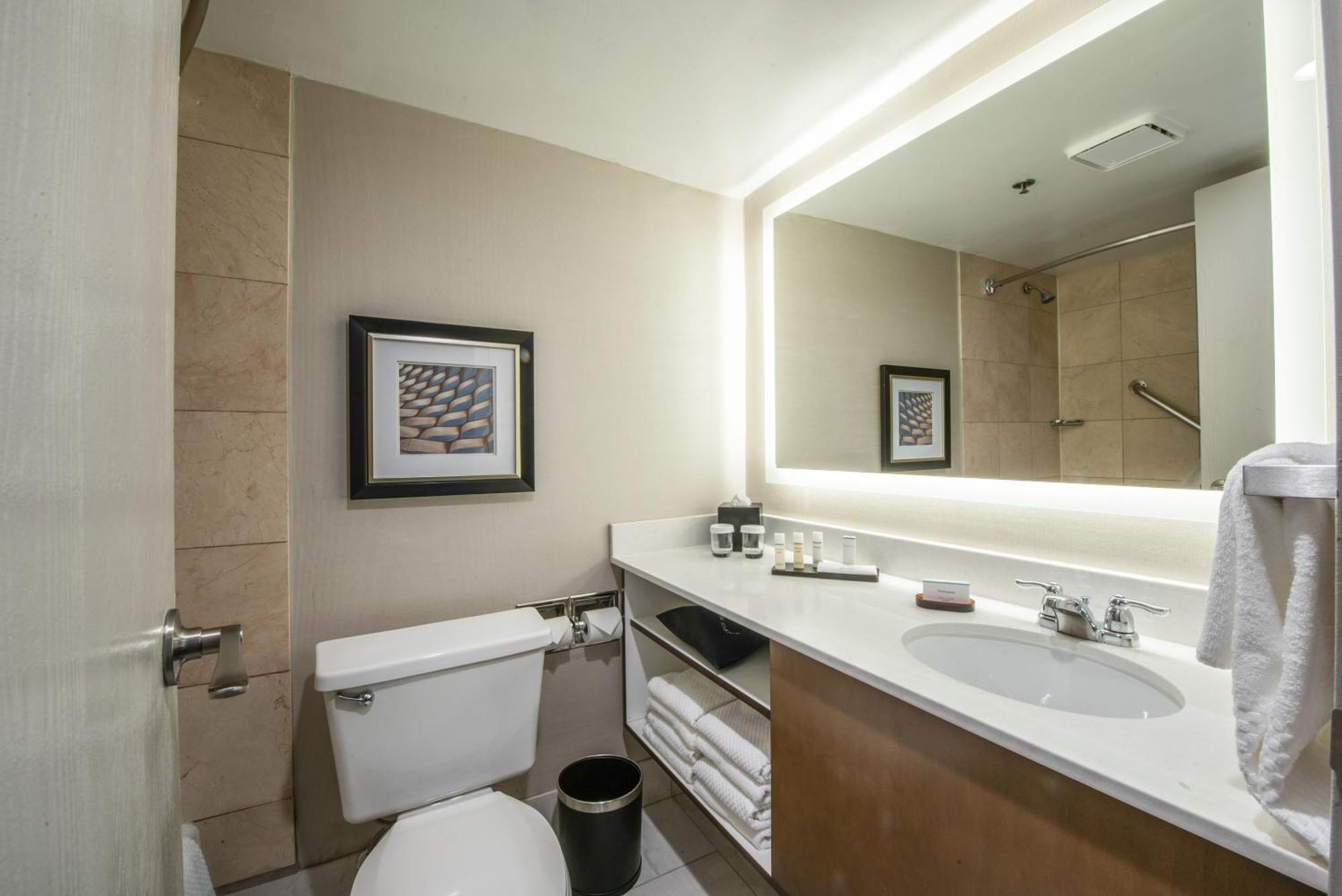 King Room - Mobility Access/Non-Smoking