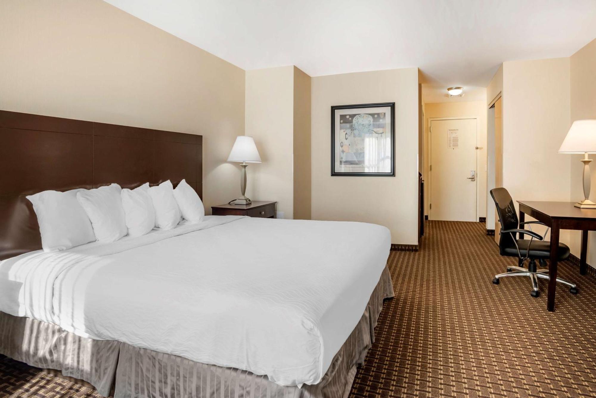 King Room with Roll-In Shower - Mobility Access