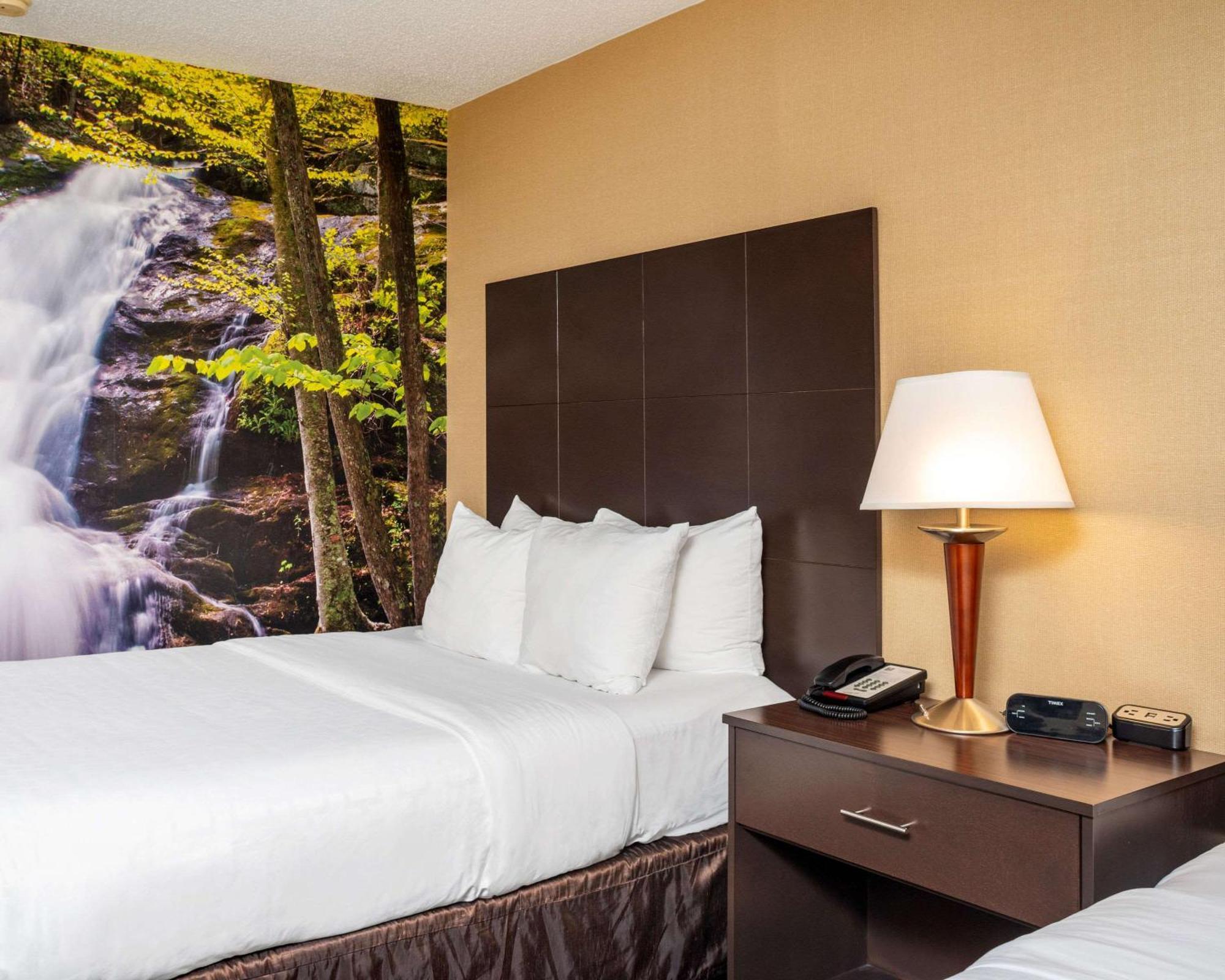 Double Room with Two Double Beds - Hearing Accessible/Non-Smoking