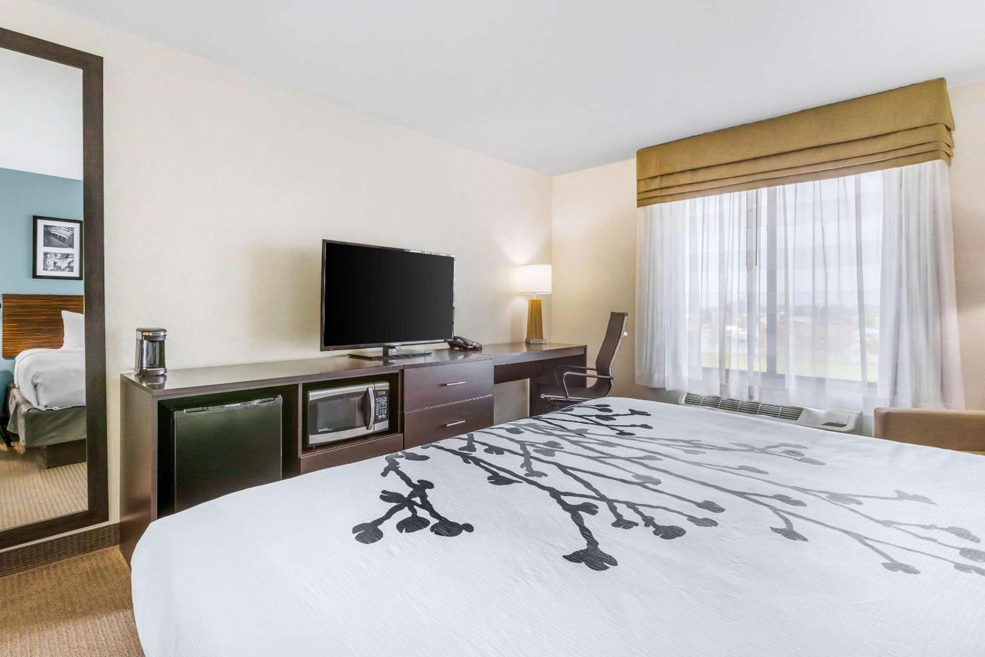 King Room - Accessible/Non-Smoking