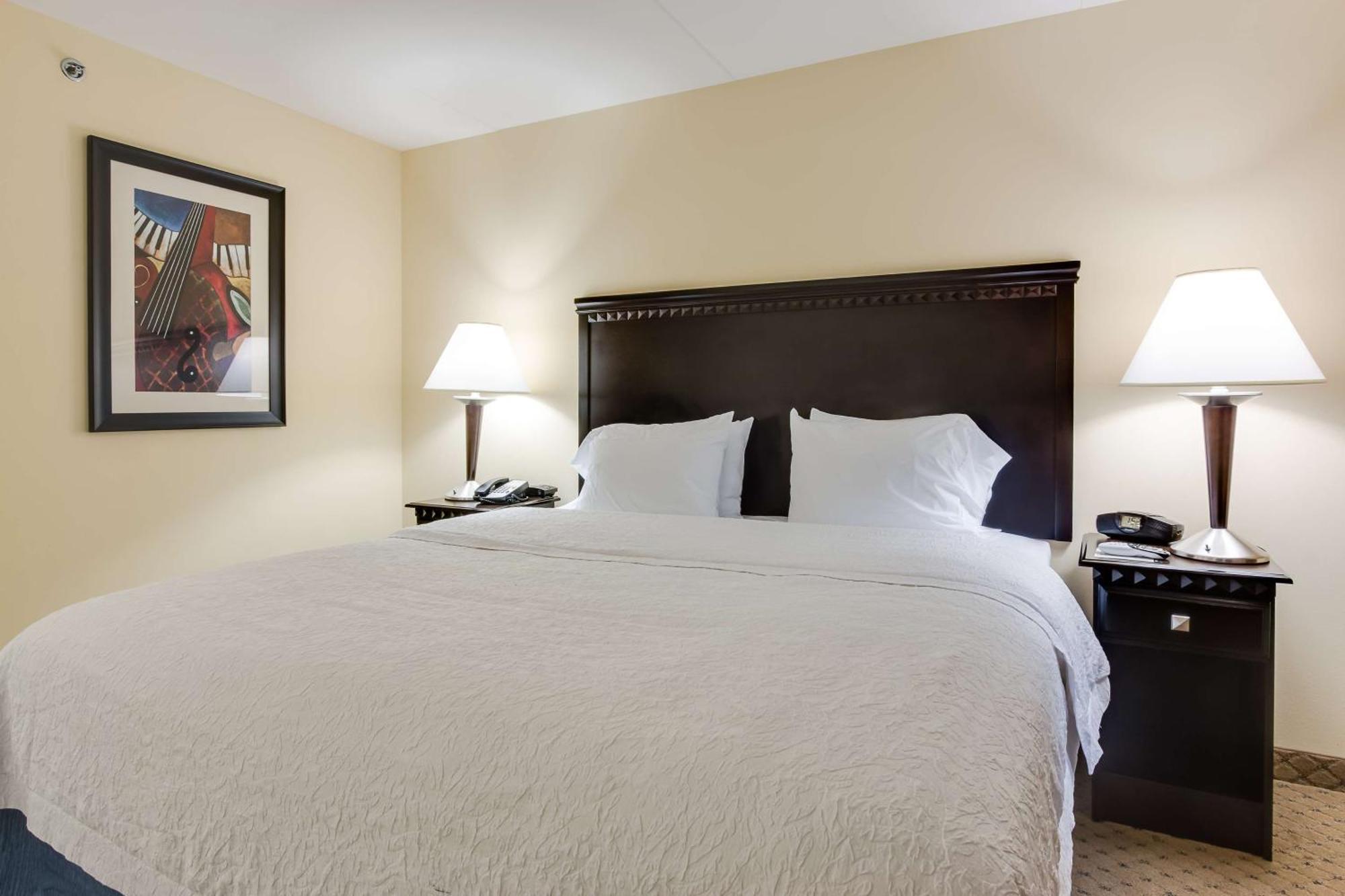 King Studio Suite with Sofa Bed - Non-Smoking