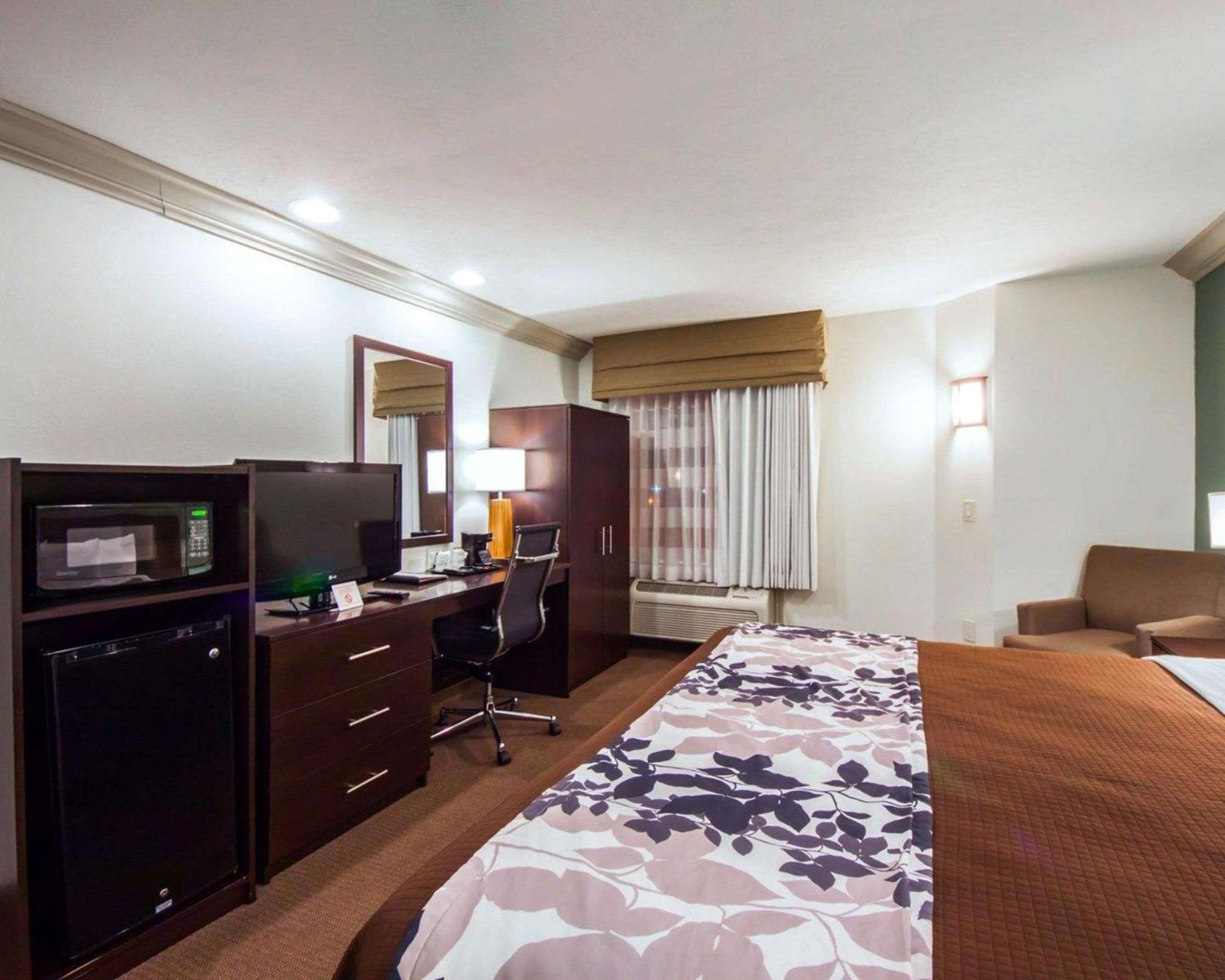 King Room - Non-Smoking