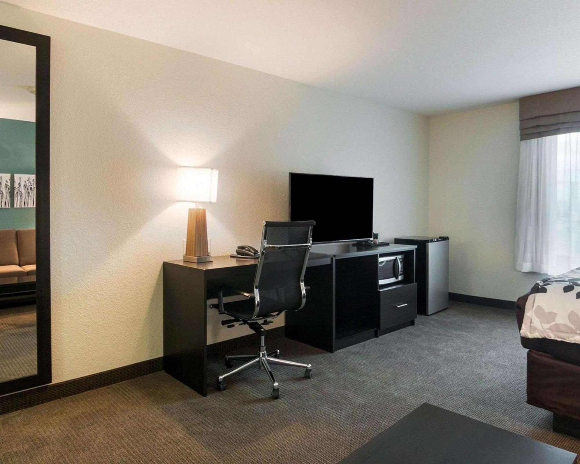 King Suite with Sofa Bed