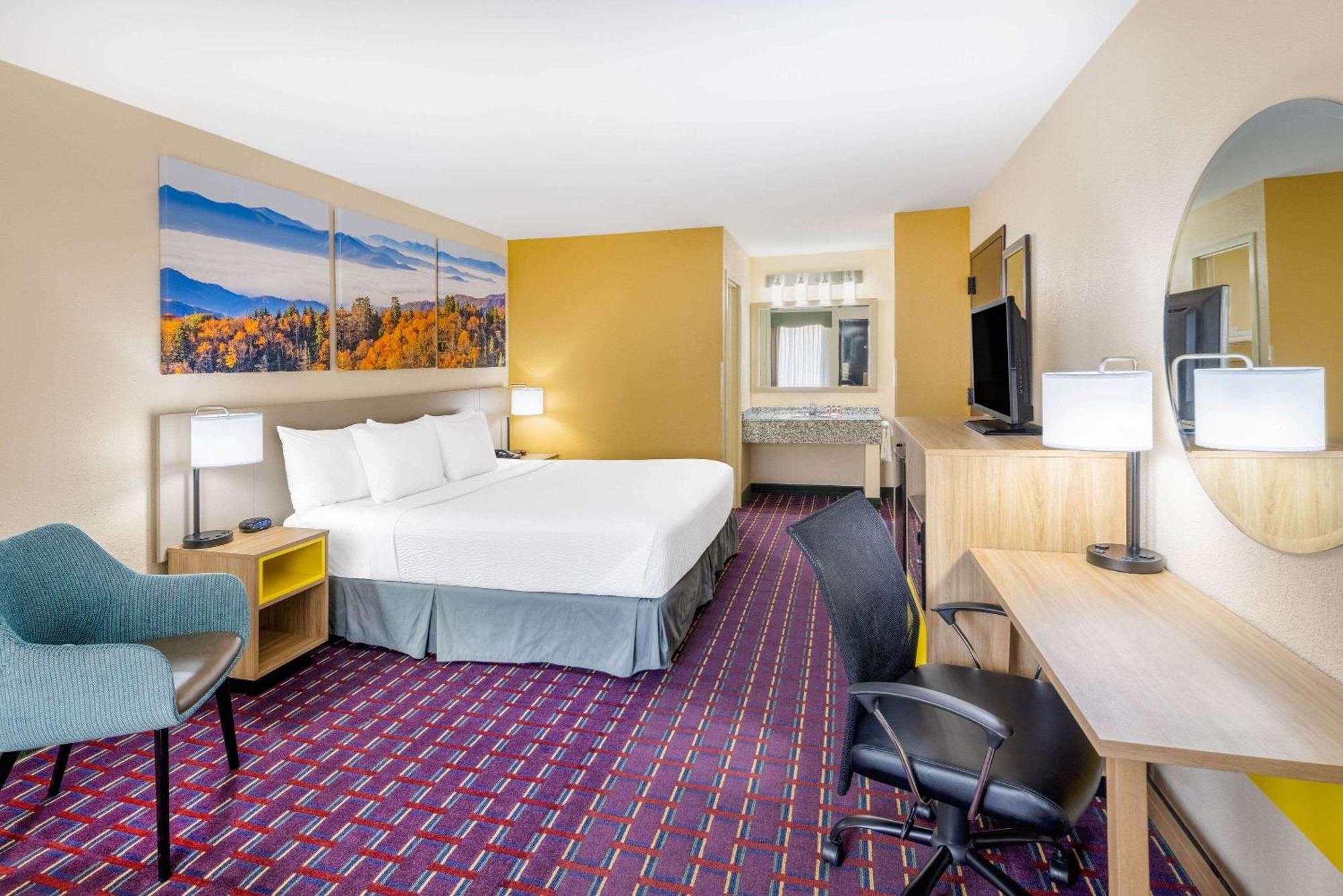 King Room Pet Friendly or Smoking