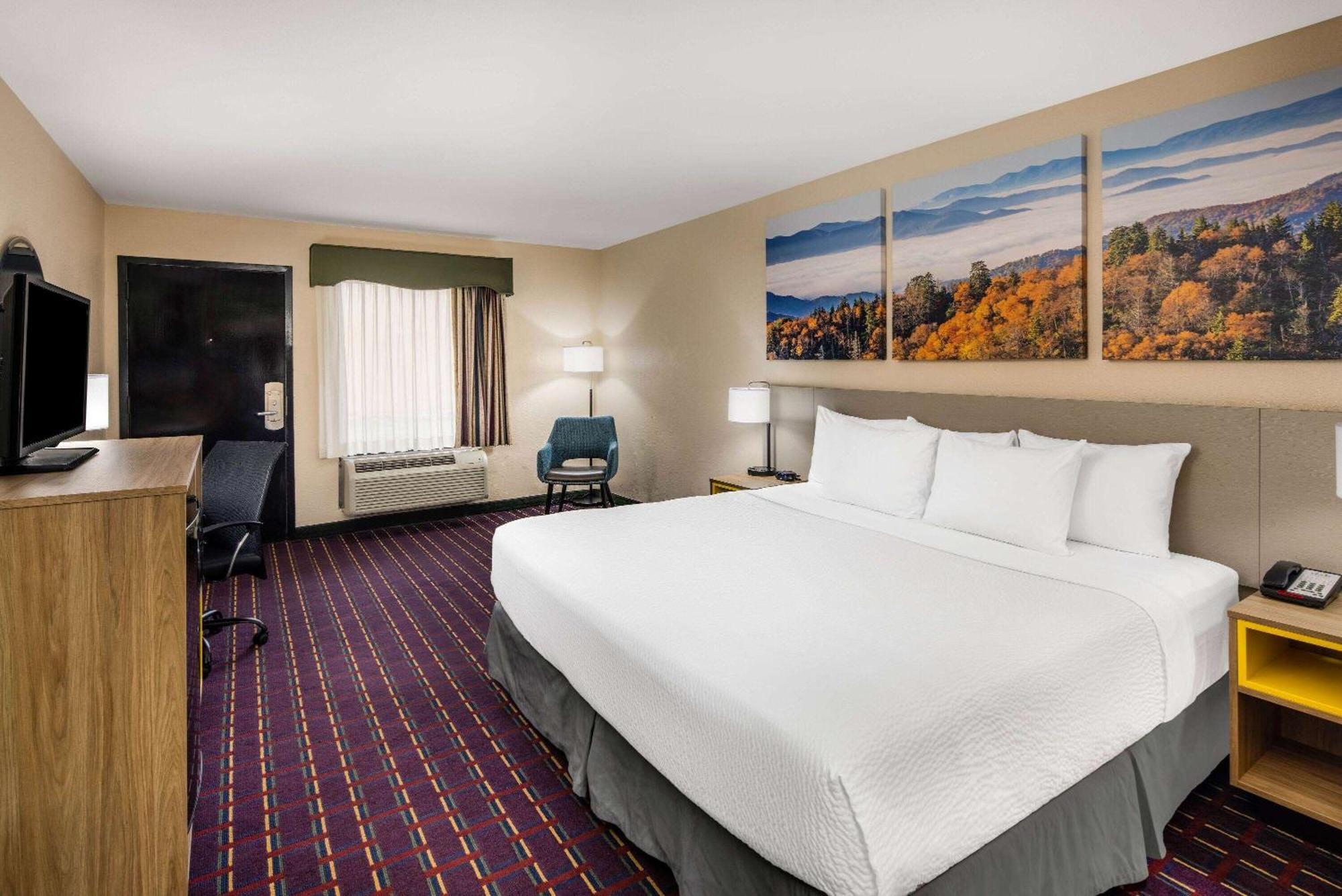 King Room Pet Friendly or Smoking