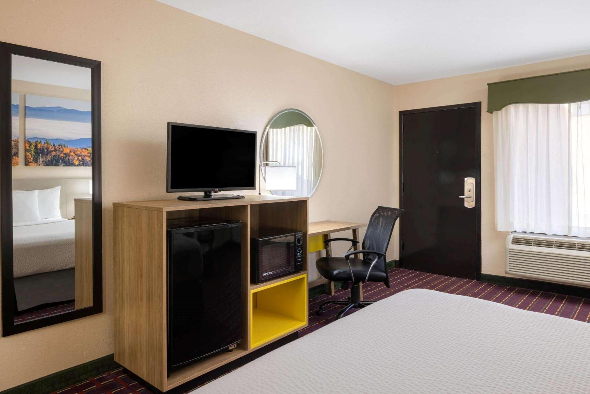 King Room Pet Friendly or Smoking