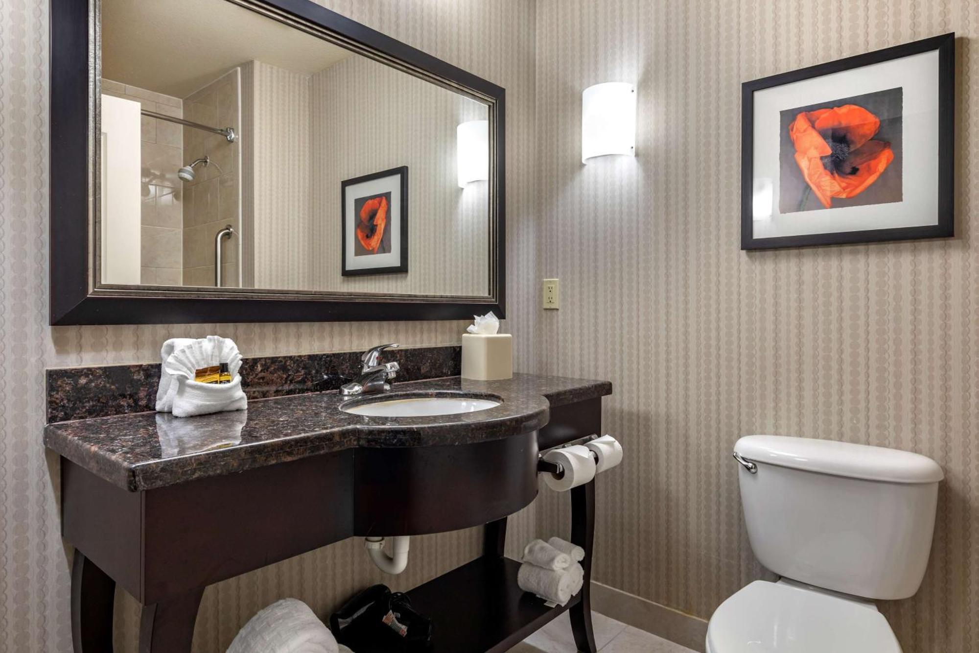 King Suite with Sofa Bed