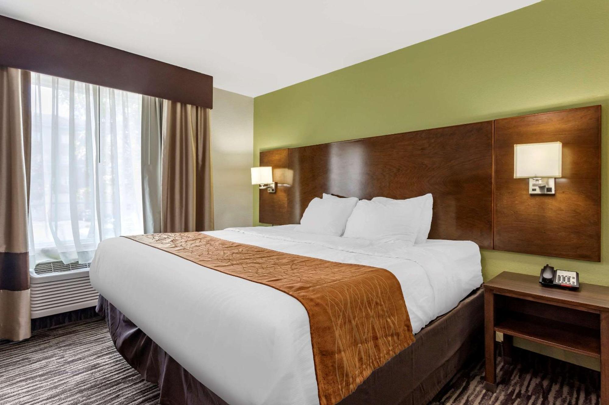 King Suite with Sofa Bed - Non-Smoking
