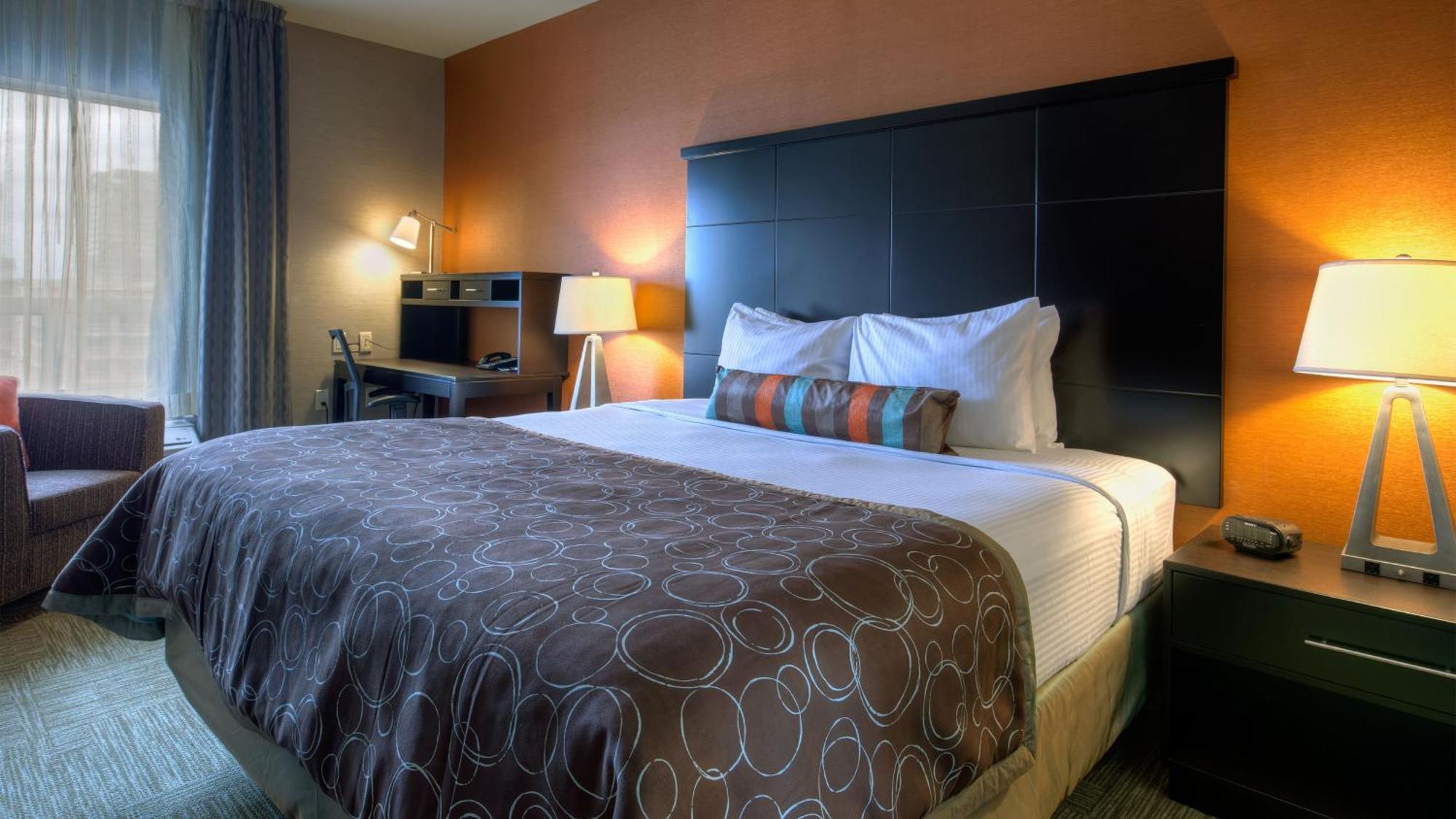 One Bed Feature Suite With Terrace