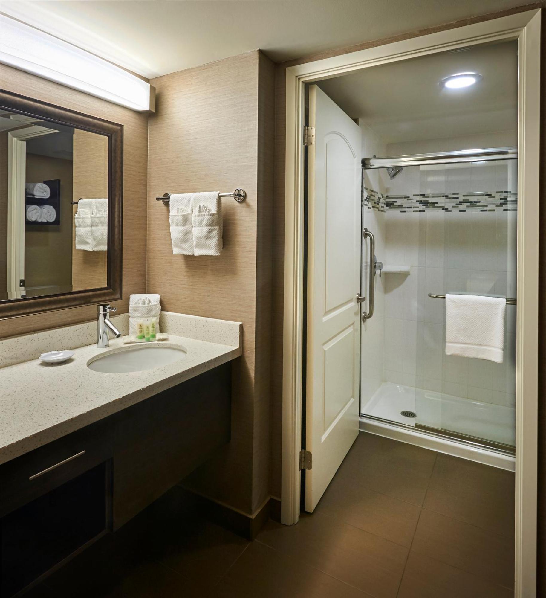 One-Bedroom King Suite - Non-Smoking