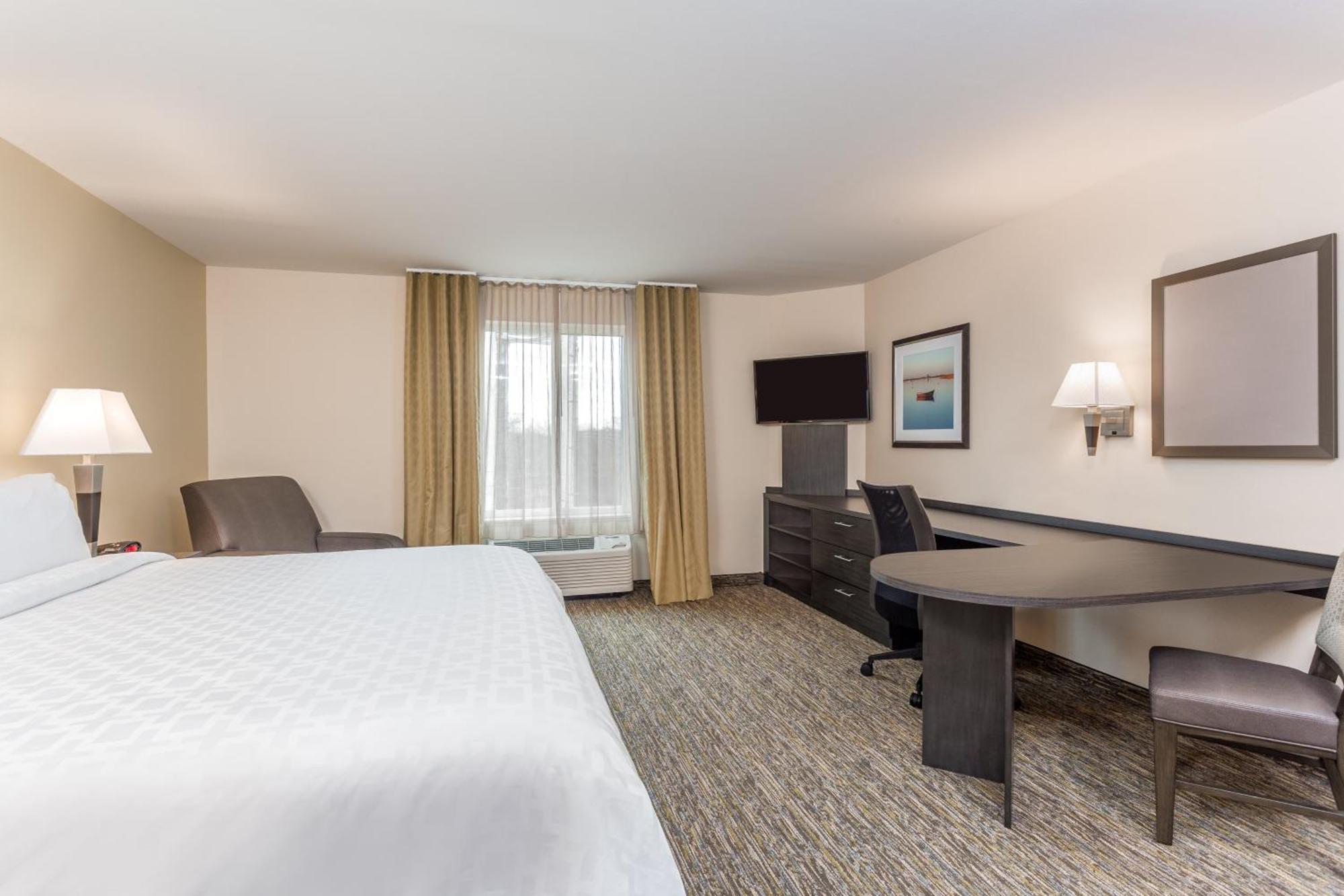 King Studio Suite