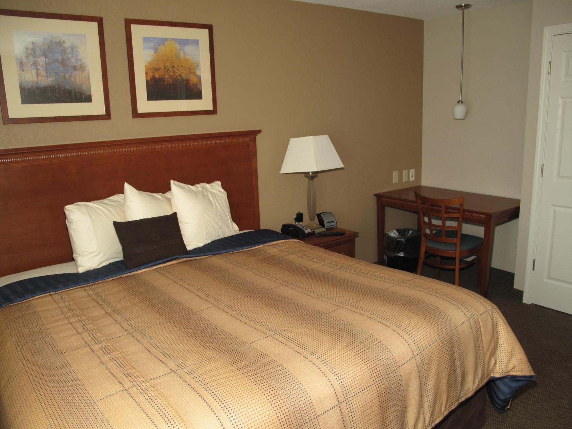 King Studio Suite
