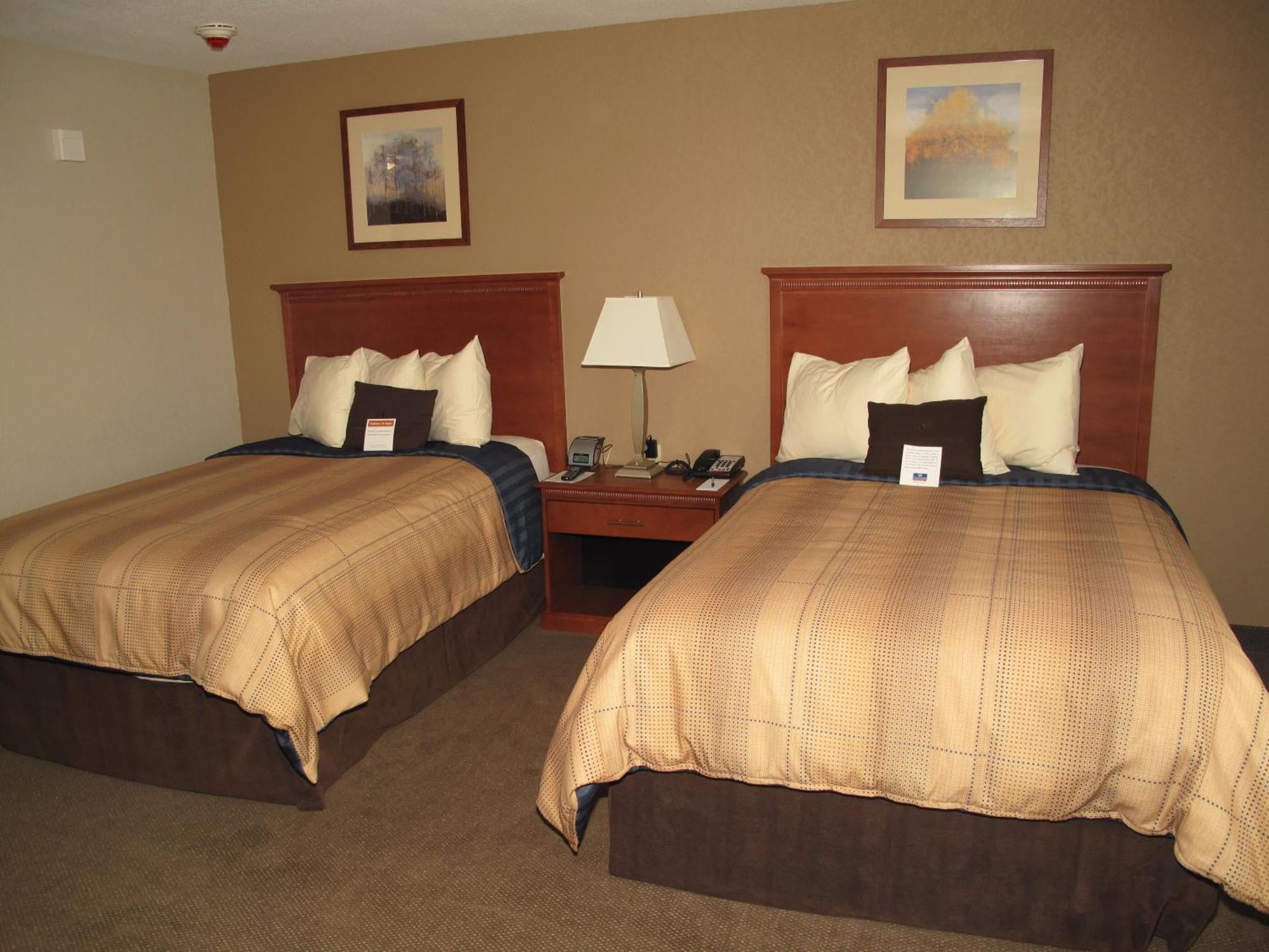 Double Room with Two Double Beds - Disability Access