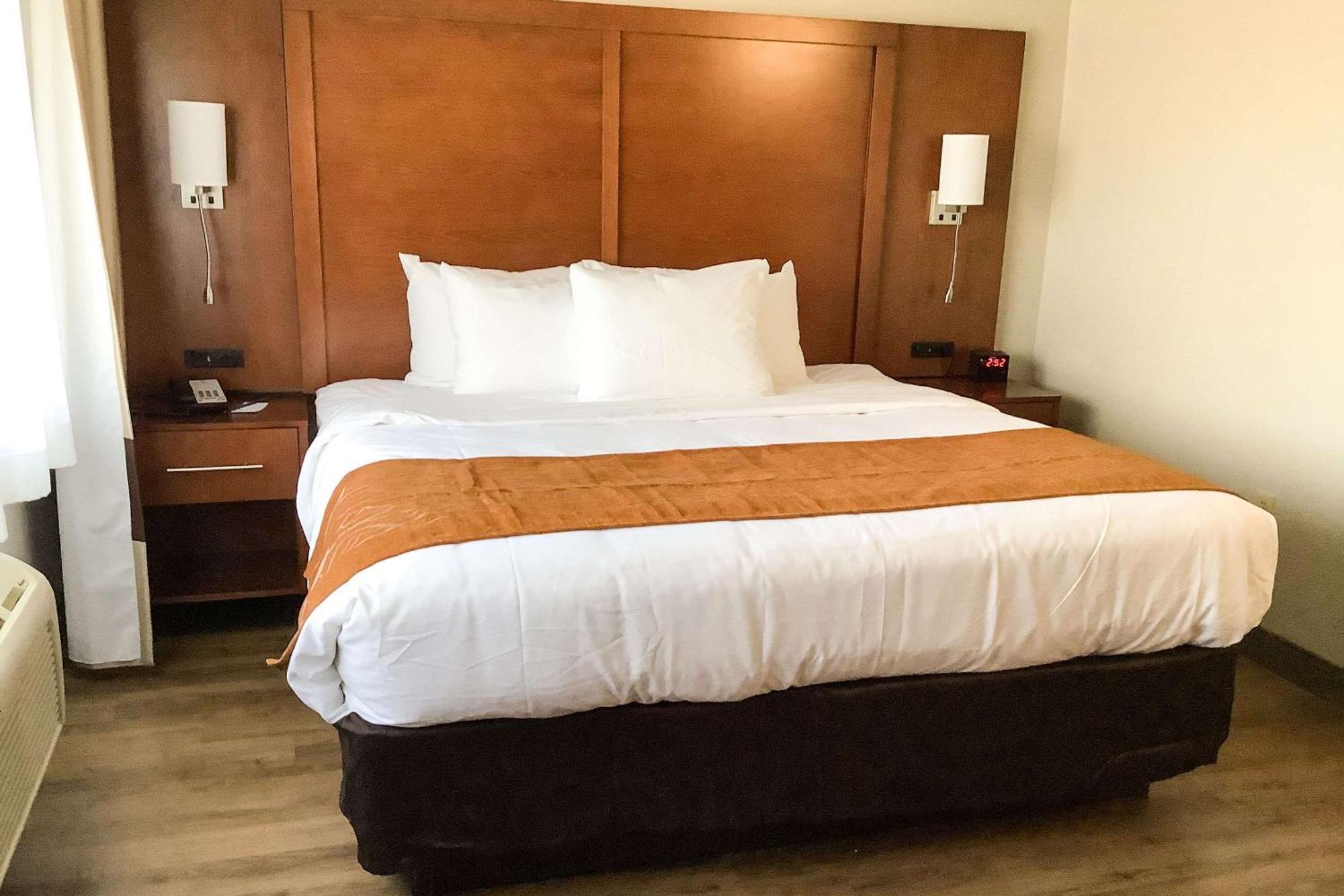 One Bedroom King Suite with Sofa Bed - Non-Smoking