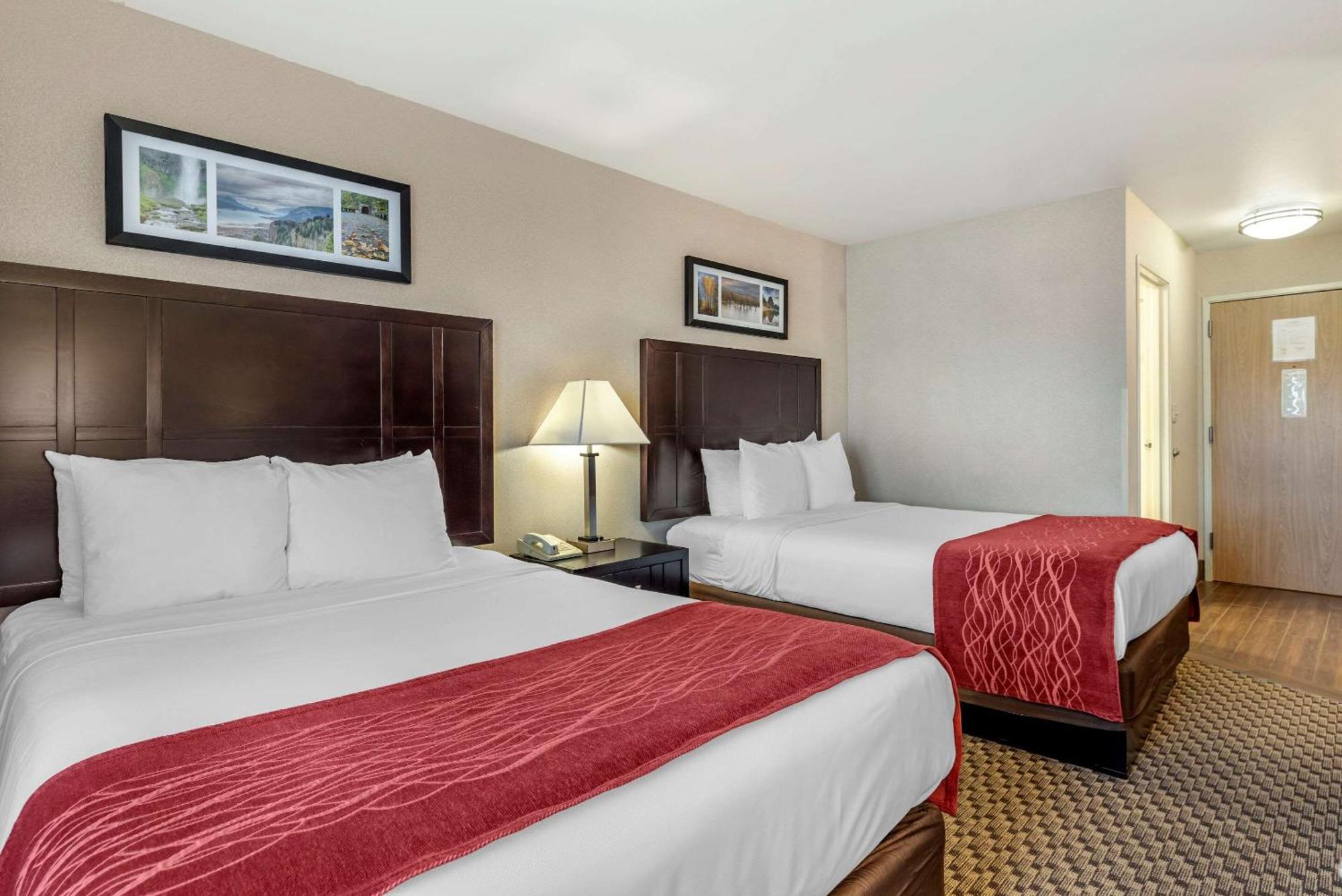 Double Room with Two Double Beds - Non-Smoking