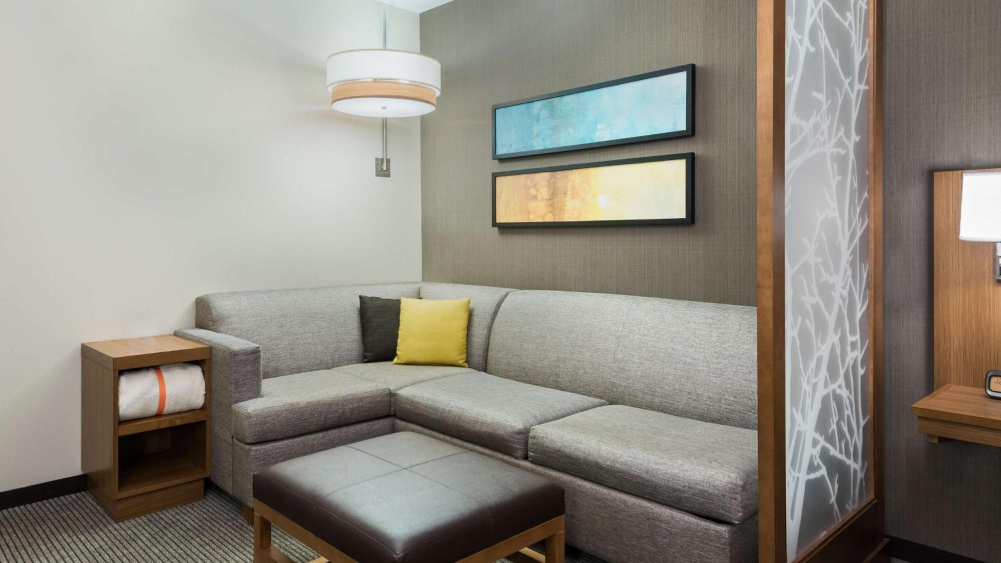 King Room with Sofa Bed and Accessible Tub - Disability Access