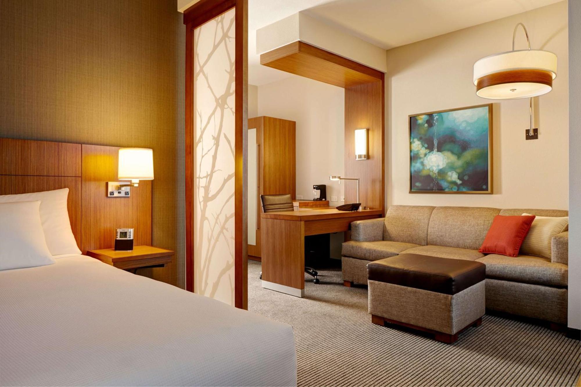 King Room Sofa Bed