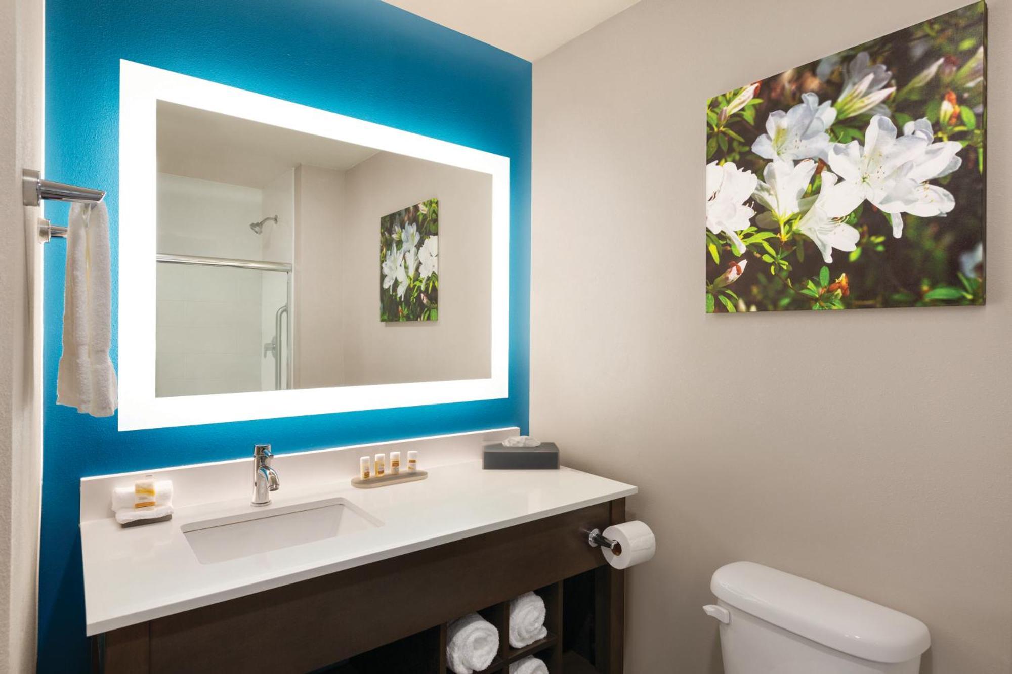 King Room Mobility or Hearing Impaired Access Non-Smoking