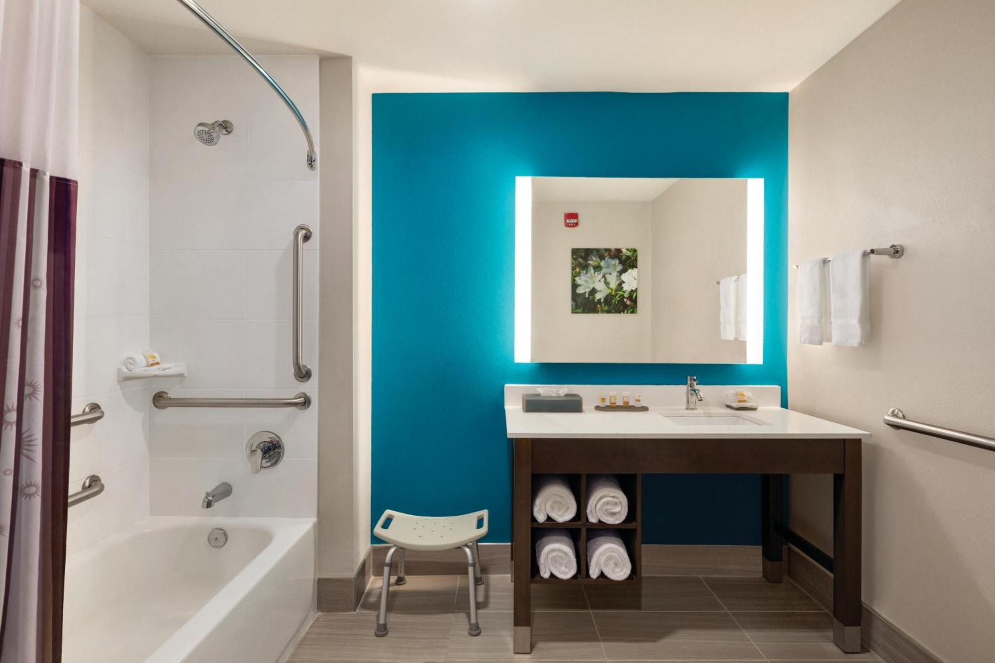 King Room Roll Shower Mobility or Hearing Impaired Accessible or Non-Smoking