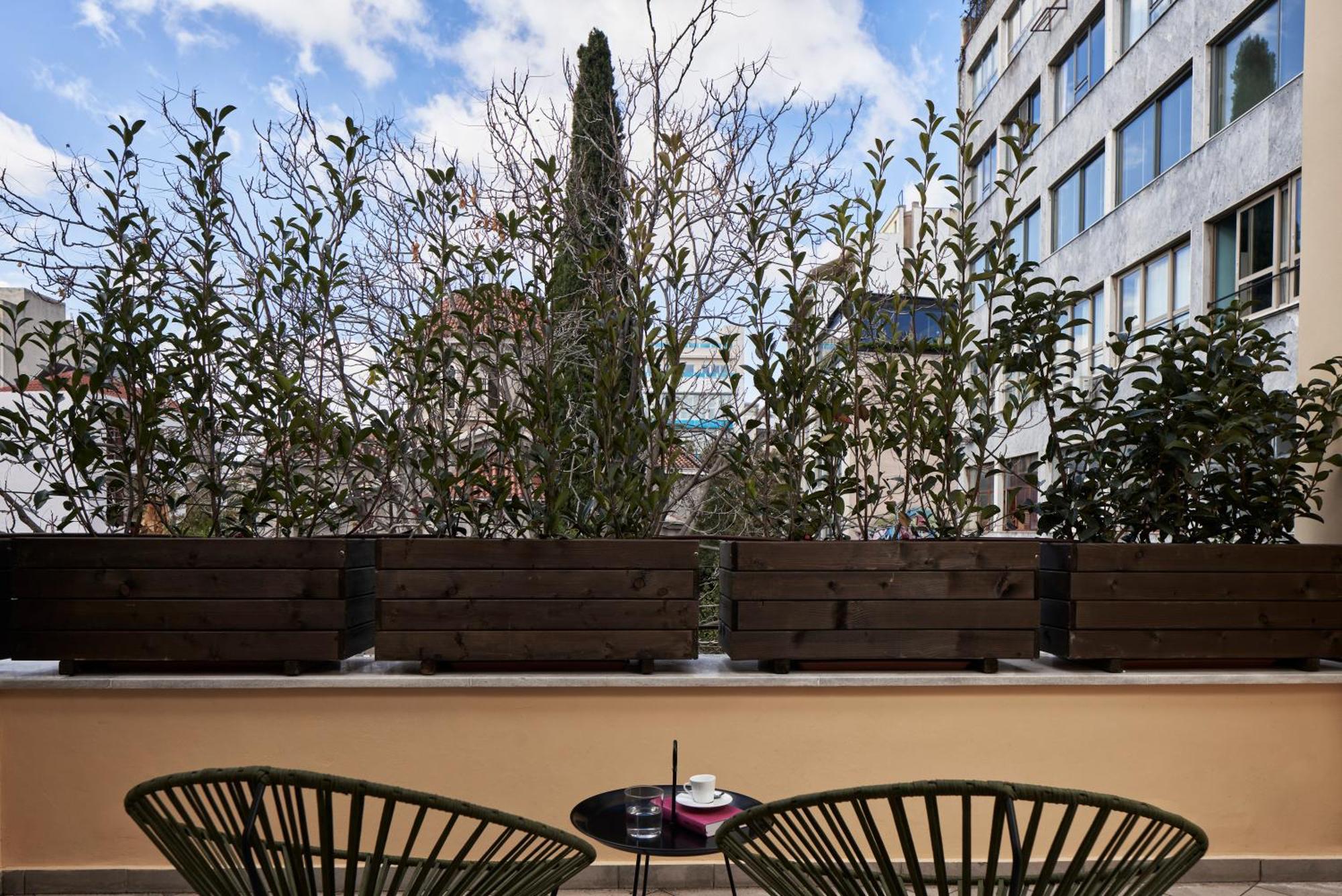 Junior Suite Terrace