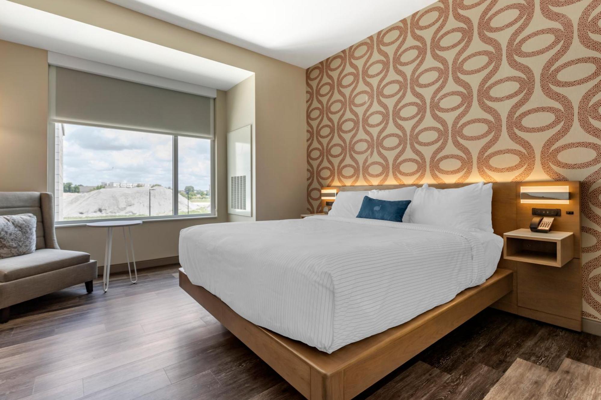 King Room