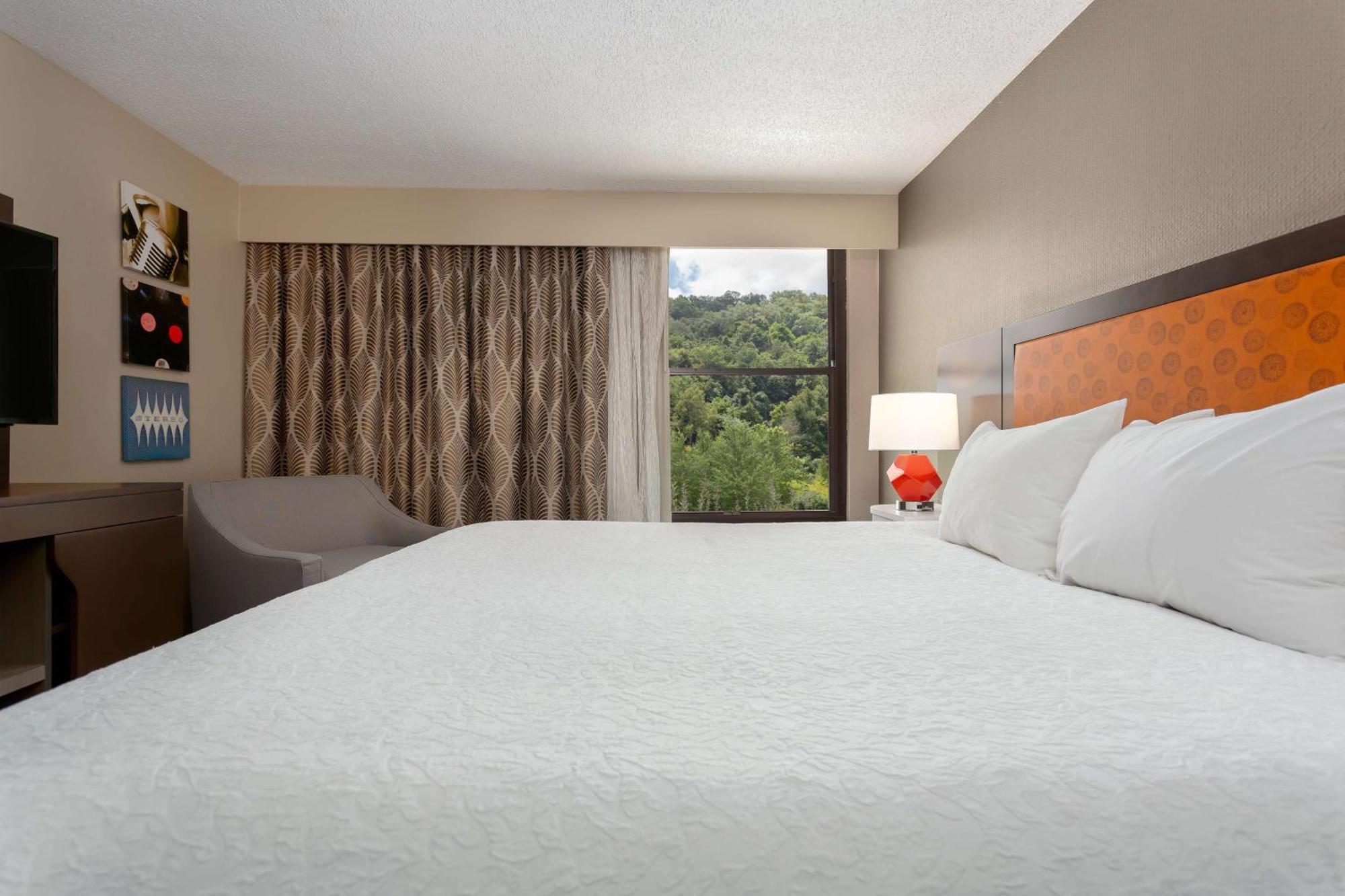 One-Bedroom King Suite - Non-Smoking